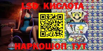 ГАЛЛЮЦИНОГЕННЫЕ ГРИБЫ Канаш
