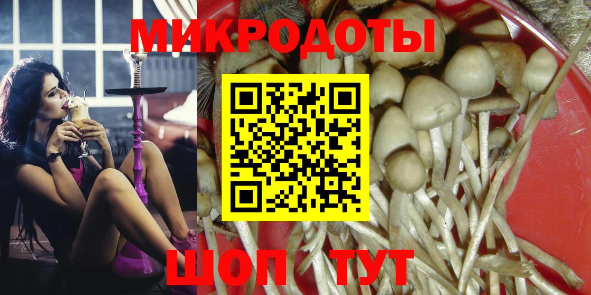 Коммунар  Псилоцибиновые грибы Psilocybine cubensis  Галлюциногенные грибы мицелий  Вход с VPN 